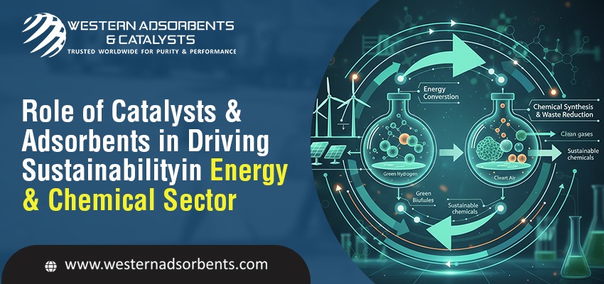 Role of Catalysts & Adsorbents in Driving Sustainability in Energy & Chemical Sector